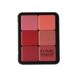 فيوتشر ميك أب باليت كريم الأساس / البلاشر ١٢ درجة لونية - FU103