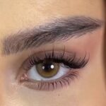 ⁦عدسات فريش ليدي -  bassia brown⁩ - الصورة ⁦2⁩