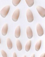 ⁦أظافر صناعية مع اللصق + مبرد⁩ - الصورة ⁦4⁩